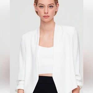 Babaton Power Waist Blazer